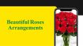 Beautiful Roses For Event PowerPoint PPT Presentation