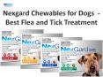 Nexgard Chewables for Dogs - Killing Fleas and Tick Effectively| VetSupply | Australia Best online Pet store PowerPoint PPT Presentation