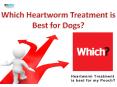 Which Heartworm Treatment is best for your dog?| VetSupply | Australia Best online Pet store PowerPoint PPT Presentation