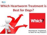 Which Heartworm Treatment is best for your dog?| VetSupply | Australia Best online Pet store