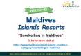 Snorkelling in Maldives PowerPoint PPT Presentation