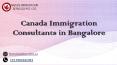 Immigration Consultants in Vancouver PowerPoint PPT Presentation