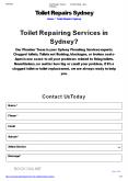 toilet repair