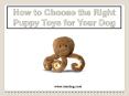 How to Choose the Right Puppy Toys for Your Dog PowerPoint PPT Presentation