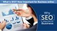 What is SEO? How Important for Business online PowerPoint PPT Presentation
