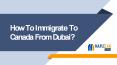 How to immigrate to Canada from Dubai? PowerPoint PPT Presentation