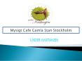 Mysigt cafe gamla stan stockholm PowerPoint PPT Presentation