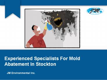 Experienced Specialists For Mold Abatement In Stockton