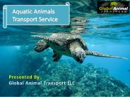 Aquatic Animals Transport Service