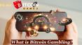 What is Bitcoin Gambling PowerPoint PPT Presentation