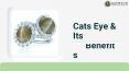 About cats eye gemstone PowerPoint PPT Presentation