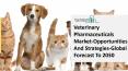 Global Veterinary Pharmaceuticals Market Competitive Strategies And Forecasts To 2030 PowerPoint PPT Presentation