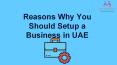 Reasons Why You Should Setup a Business in UAE PowerPoint PPT Presentation
