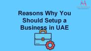 Reasons Why You Should Setup a Business in UAE
