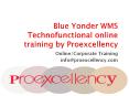 Blue Yonder WMS Technofunctional online training by Proexcellency PowerPoint PPT Presentation