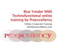Blue Yonder WMS Technofunctional online training by Proexcellency
