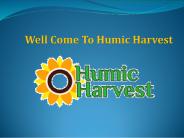 Organic Humic Acid