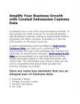 Amplify Your Business Growth With Curated Indonesian Customs Data PowerPoint PPT Presentation