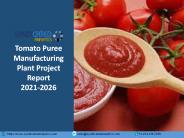Tomato Puree Manufacturing Plant Project Report PPT 2021-2026