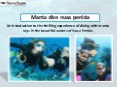 Manta Dive Nusa Penida PowerPoint PPT Presentation