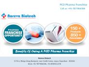 Benefits Of Owing A PCD Pharma Franchise