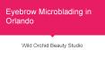 Eyebrow Microblading in Orlando PowerPoint PPT Presentation