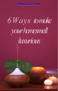 How to Make Your Home Smell Luxurious? PowerPoint PPT Presentation