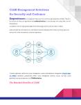 CIAM Management Solutions for Security and Customer Experience PowerPoint PPT Presentation