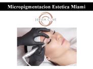 Micropigmentacion Estetica Miami