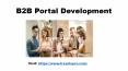 B2B Portal Development PowerPoint PPT Presentation