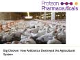 Big Chicken: How Antibiotics Destroyed the Agricultural System PowerPoint PPT Presentation