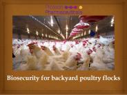 Biosecurity for backyard poultry flocks