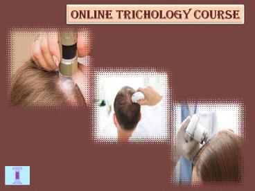 iclsinstitution@gmai (1)