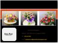 Get the Express Delivery of Affordable Funeral Flowers At Your Home in Singapore PowerPoint PPT Presentation