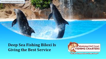 Deep Sea Fishing Biloxi Is Giving the Best Service