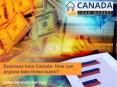 Business loan Canada- How can anyone take these loans? PowerPoint PPT Presentation