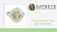 Facts About Cat's Eye Gemstone