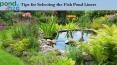 Tips for Selecting the Fish Pond Liners PowerPoint PPT Presentation