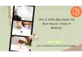 Why Is White Bed sheets The Most Popular Choice of Bedding