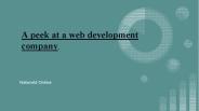 A Peek at a Web Development Company