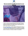 Hire an experienced .NET developer for your web app PowerPoint PPT Presentation