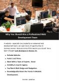 Why You Should Hire a Professional Web Development Team PowerPoint PPT Presentation