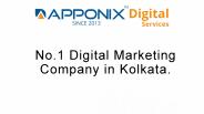 raghuapponix (1)