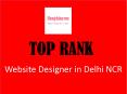 Website Designer in Delhi NCR, Website Designing in South Delhi