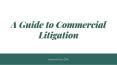 A Guide to Commercial Litigation - Harriett Fox CPA PowerPoint PPT Presentation
