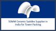 50MM Ceramic Saddles Supplier in India for Tower Packing PowerPoint PPT Presentation