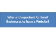 Why is it Important for Small Businesses to have a Website? PowerPoint PPT Presentation