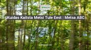 Metsa Ost |  Metsa ABC