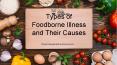 Types of Foodborne Illness and Their Causes PowerPoint PPT Presentation