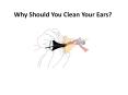 Why Should You Clean Your Ears? PowerPoint PPT Presentation